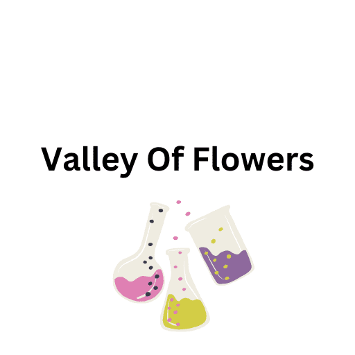 Valley Of Flowers